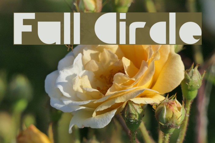 Full Circle Font examples