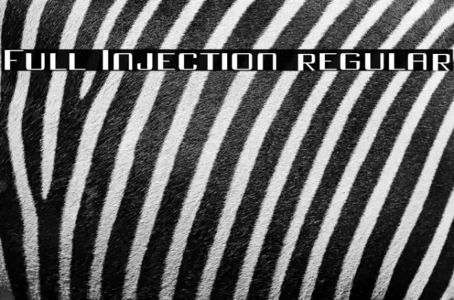 Full Injection regular Font examples