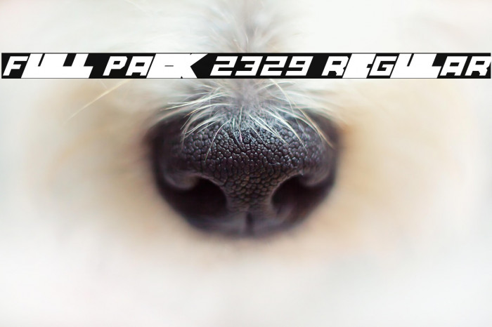 Full Pack 2329 Regular Example 2