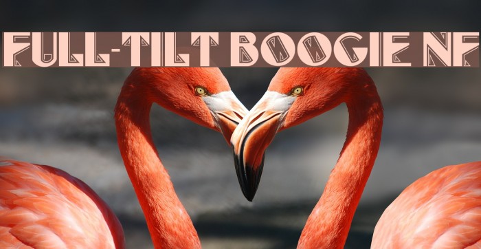 Full-Tilt Boogie NF Font examples