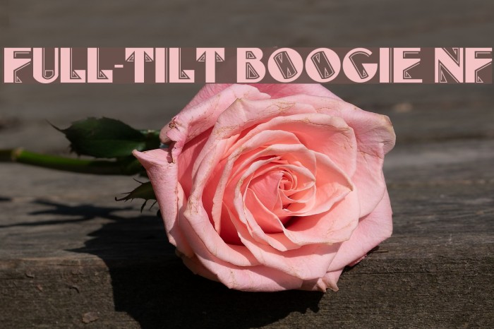 Full-Tilt Boogie NF Font examples