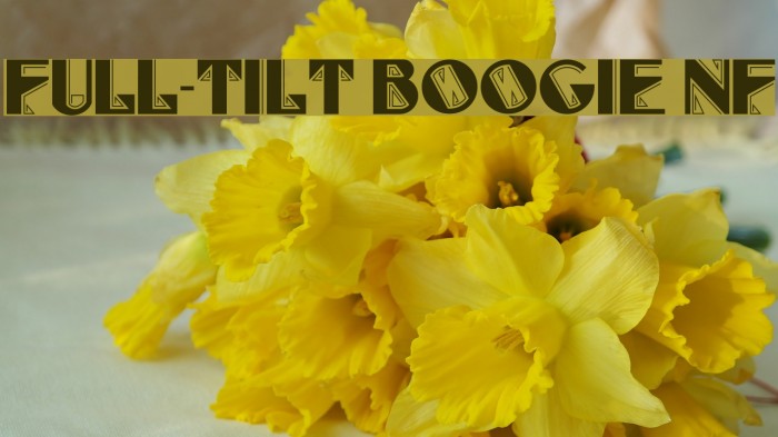 Full-Tilt Boogie NF Font examples