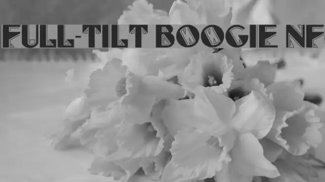 Full-Tilt Boogie NF Polices examples