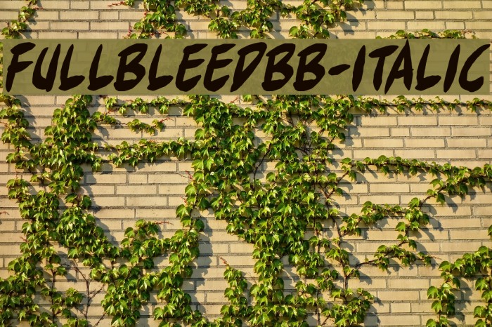 FullBleedBB-Italic Font examples