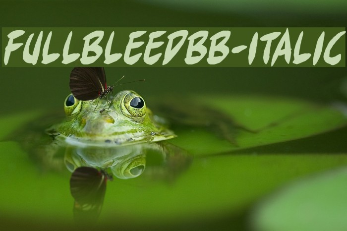 FullBleedBB-Italic Font examples