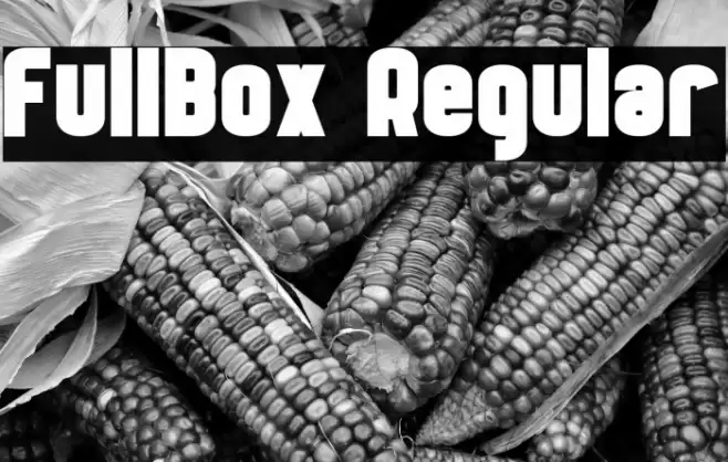 FullBox Regular Font examples