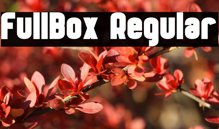 FullBox Regular Example 3