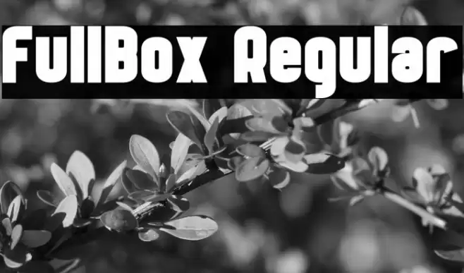 FullBox Regular Font examples