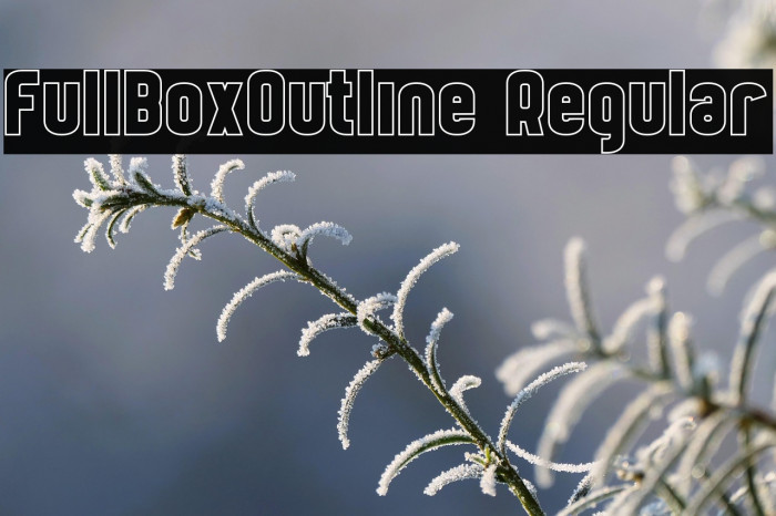 FullBoxOutline Regular Example 1