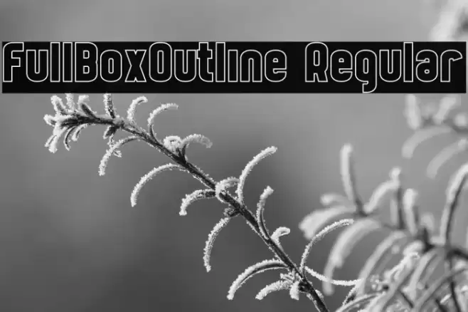 FullBoxOutline Regular Font examples