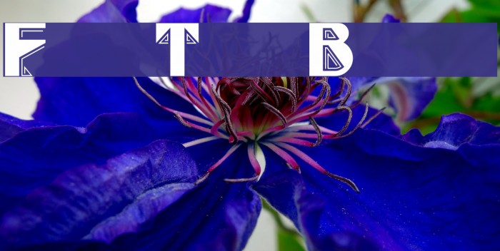 FullTiltBoogie Font examples
