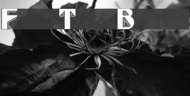 FullTiltBoogie Caratteri examples