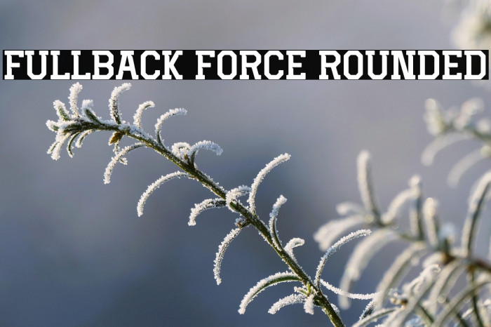 Fullback Force Rounded Example 2