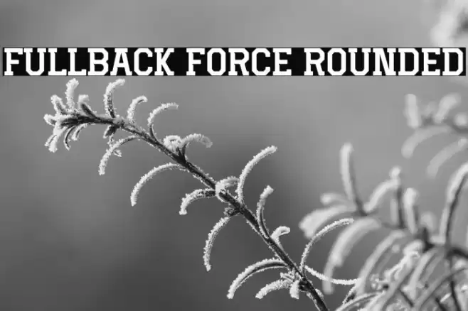 Fullback Force Rounded Caratteri examples
