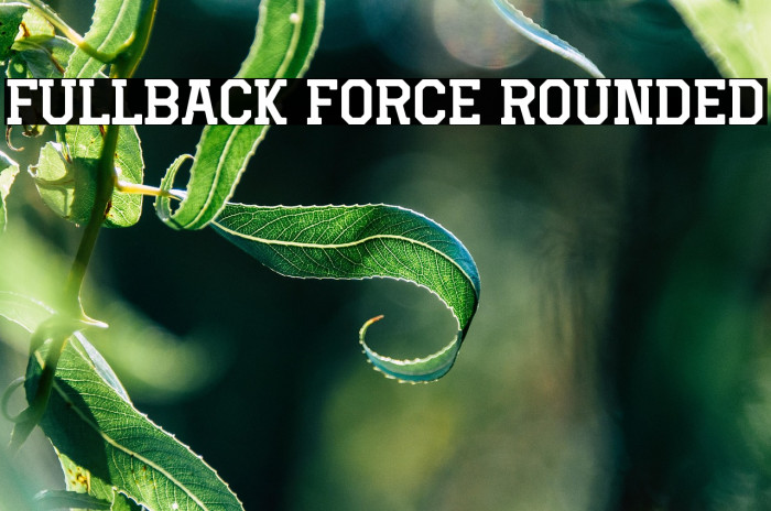 Fullback Force Rounded Example 3