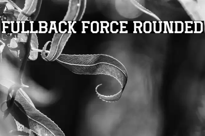 Fullback Force Rounded Caratteri examples
