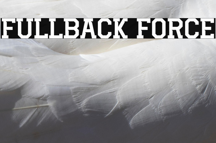 Fullback Force Example 2