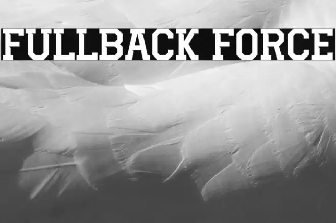 Fullback Force Caratteri examples