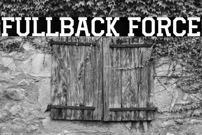 Fullback Force Caratteri examples