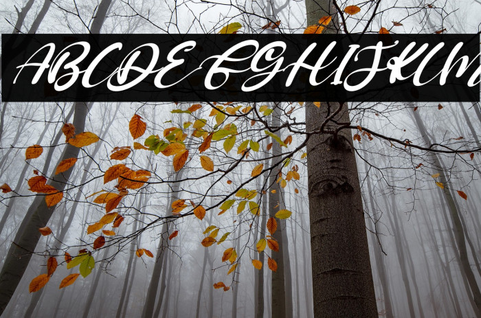 Fullmoon Italic Example 1