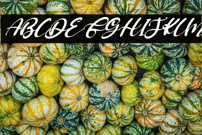 Fullmoon Italic Example 3