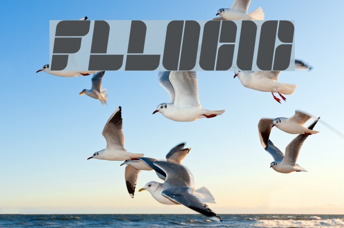 Fullogic Font examples