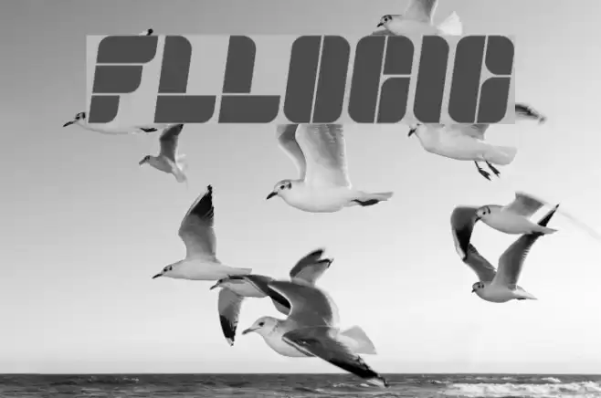 Fullogic フォント examples