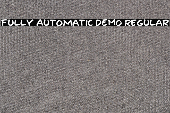 Fully Automatic DEMO Regular Example 2