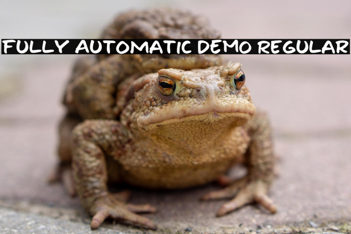 Fully Automatic DEMO Regular Example 3