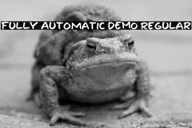 Fully Automatic DEMO Regular Font examples