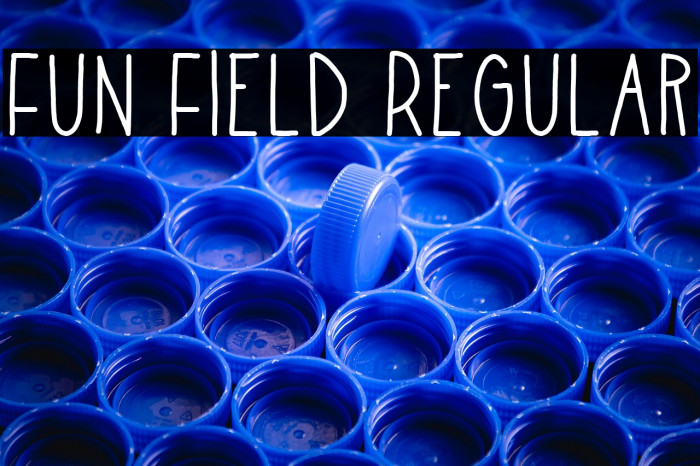 Fun Field Regular Example 1