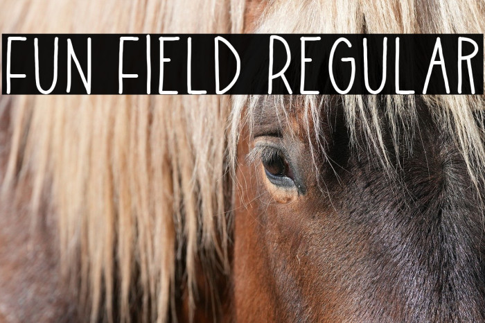 Fun Field Regular Example 2