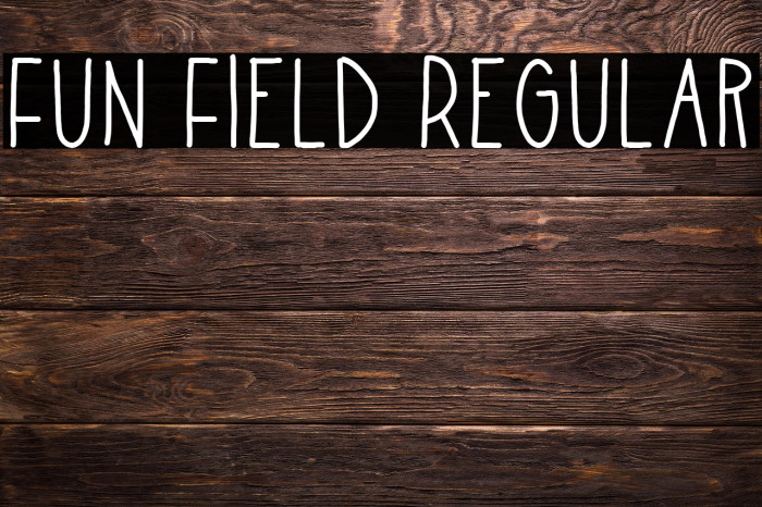 Fun Field Regular Example 3