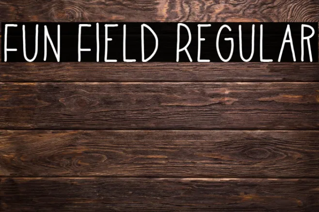 Fun Field Regular Example 3