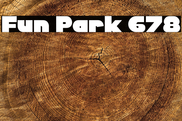 Fun Park 678 Example 1