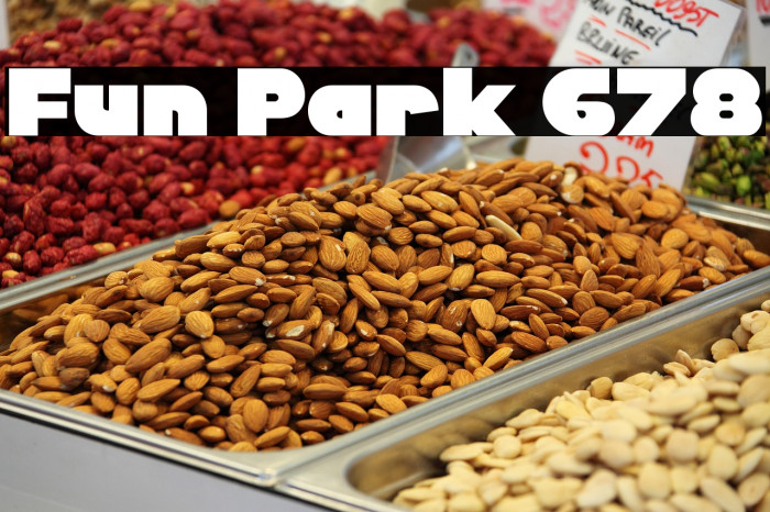 Fun Park 678 Example 2