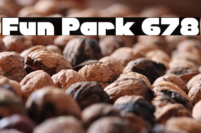 Fun Park 678 Example 3