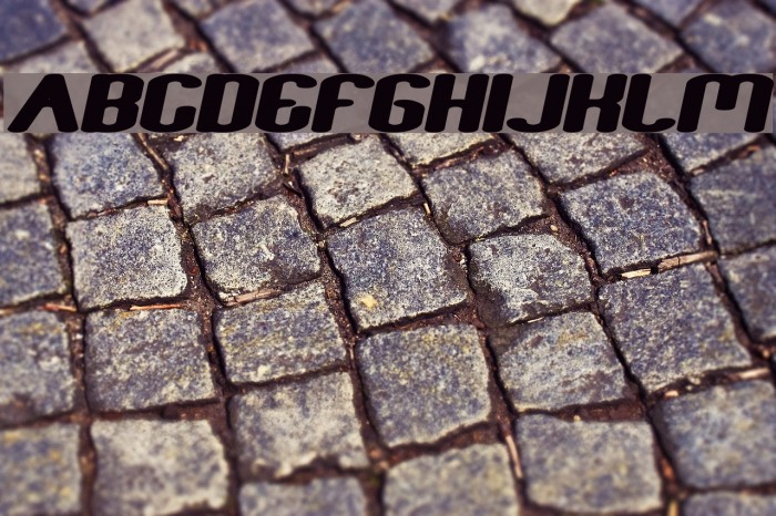 Fun Raiser Bold Italic Font examples