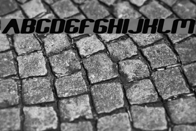 Fun Raiser Bold Italic Font examples