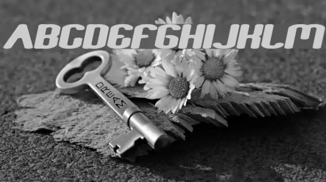 Fun Raiser Bold Italic Font examples