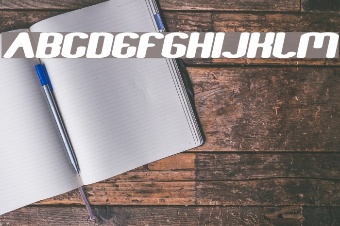 Fun Raiser Bold Italic Font examples