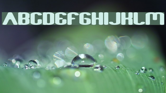 Fun Raiser Bold Font examples