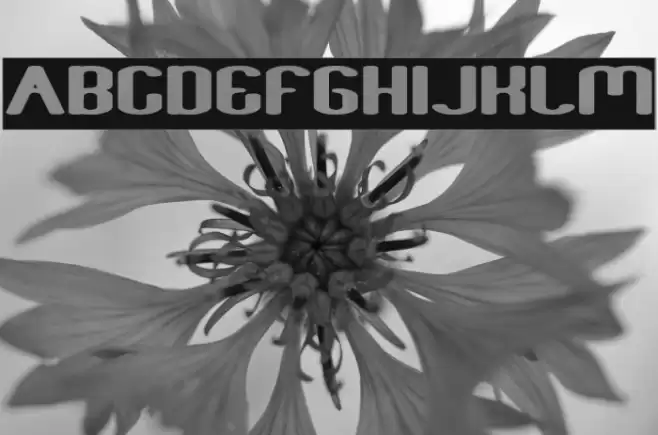 Fun Raiser-Inverse Font examples