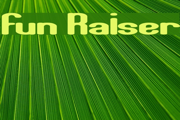 Fun Raiser Font examples