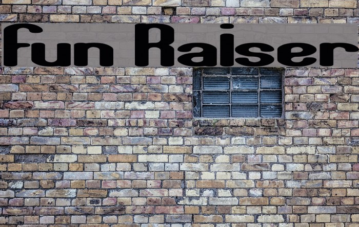 Fun Raiser Fuentes examples