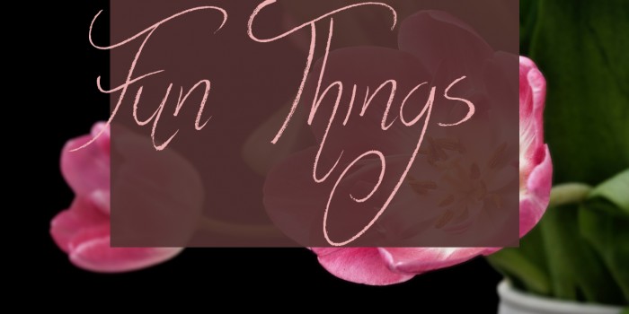 Fun Things Font examples