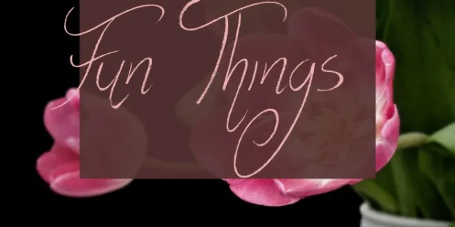 Fun Things Example 2
