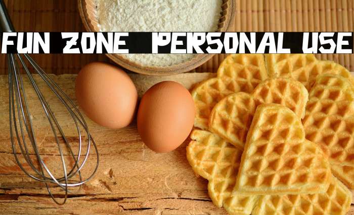 Fun Zone - Personal Use Example 3