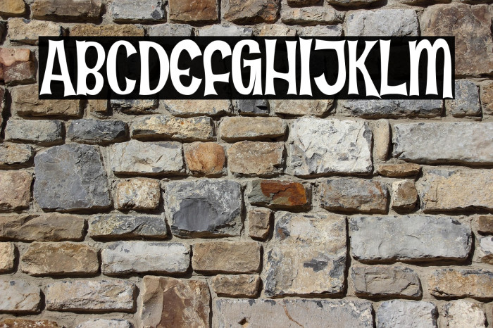 Fun in the Jungle Example 1