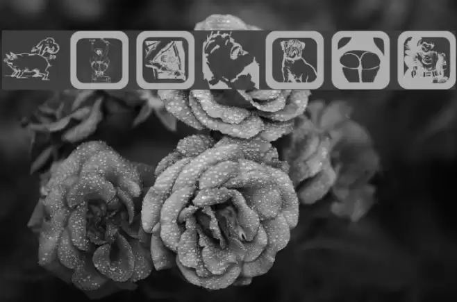 FunBats Font examples